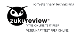 VTNE online test preparation