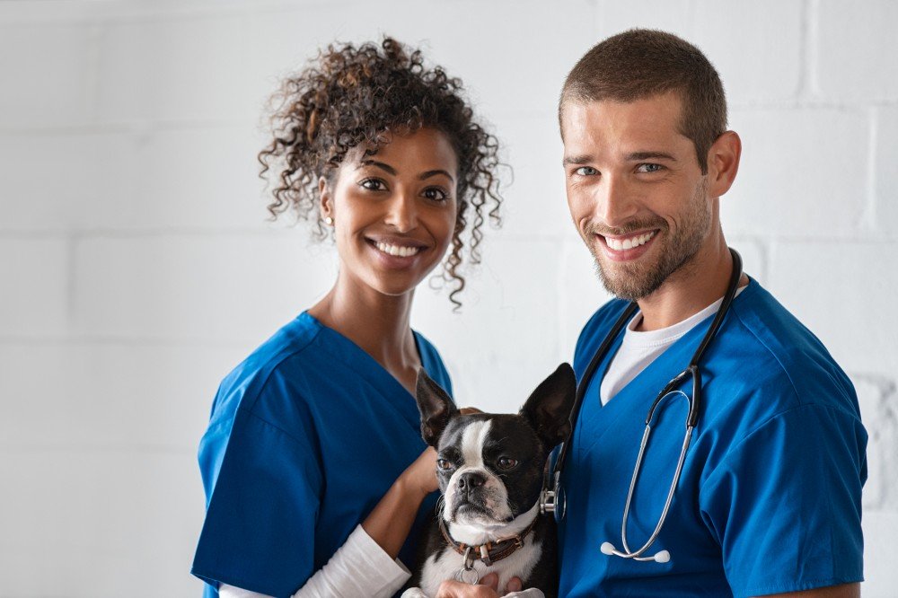 veterinarians with dog