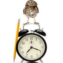 búho con reloj