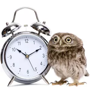 study strategy owl with clock