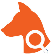 Questions Icon 