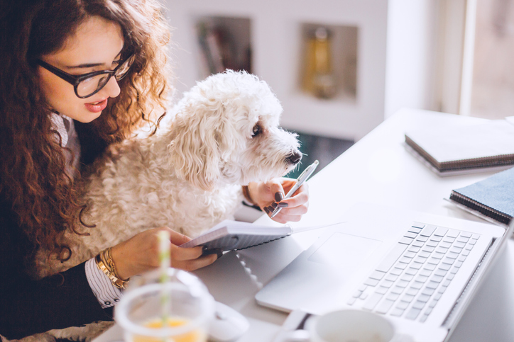 étudier avec un chien