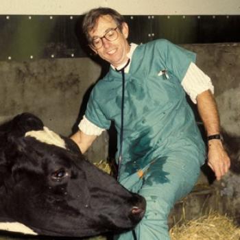Lisle George, DVM, PhD, ACVIM