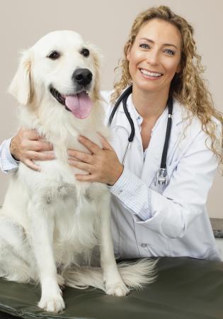 Dr. D with canine 