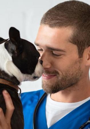 Dr. V veterinarian with canine