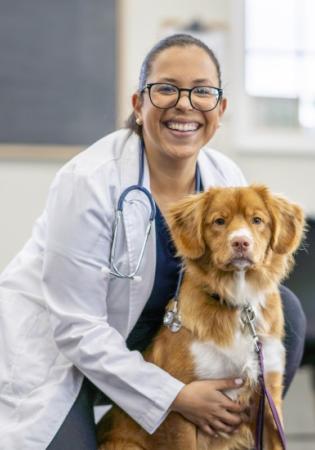 vet with dog