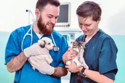 veterinario y tableta